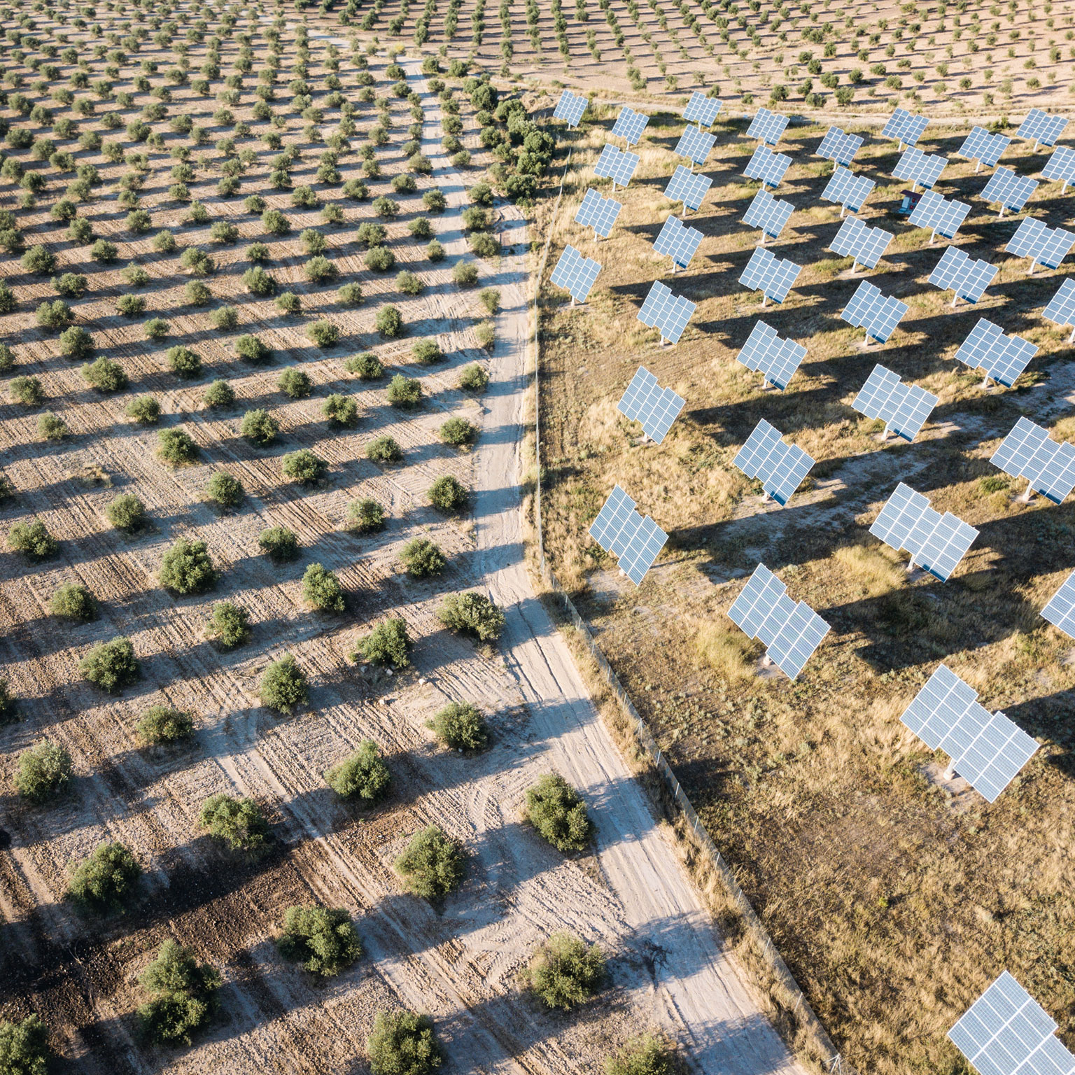 Agriculture McKinsey & Company